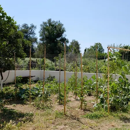Vilă Xampelo *