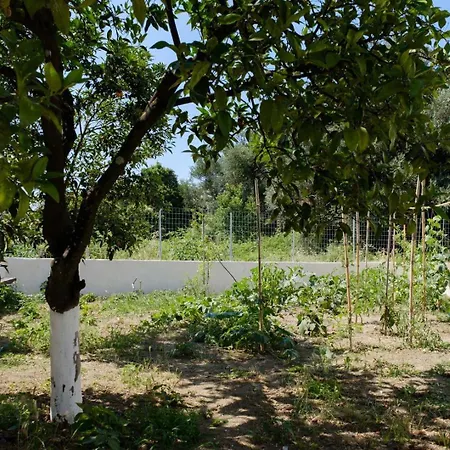 Xampelo Villa Nymfai